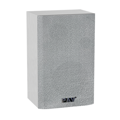 IP网络监听音响    P-8031